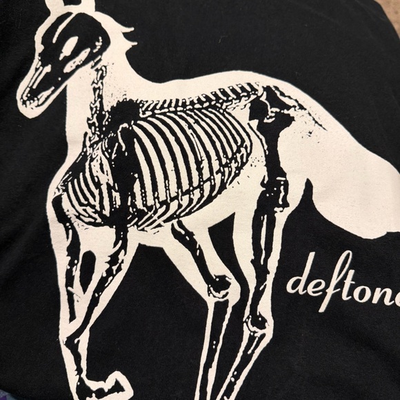 Bundle for Lizard - Picture 5 of 7